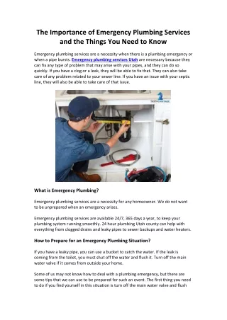 The Importance of Emergency Plumbing Services and the Things You Need to Know