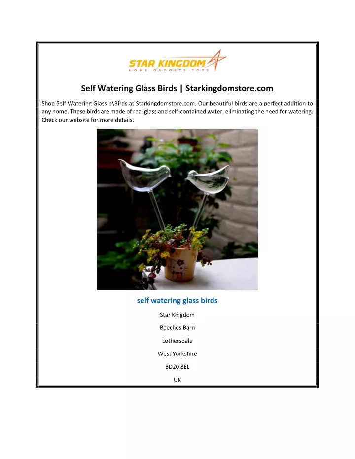 self watering glass birds starkingdomstore com