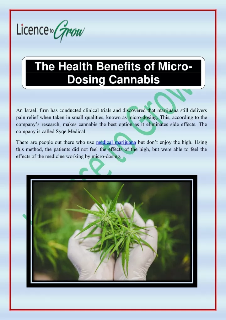 the health benefits of micro dosing cannabis
