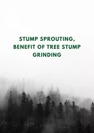 Stump Sprouting, Benefit of Tree Stump Grinding