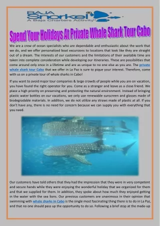 Spend Your Holidays At Private Whale Shark Tour Cabo