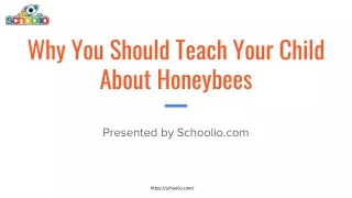 Why You Should Teach Your Child About Honeybees