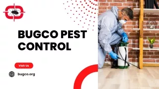 Expert Pest Control In San Antonio TX - Bugco Pest Control