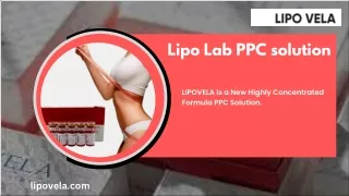 Lipo Lab PPC solution