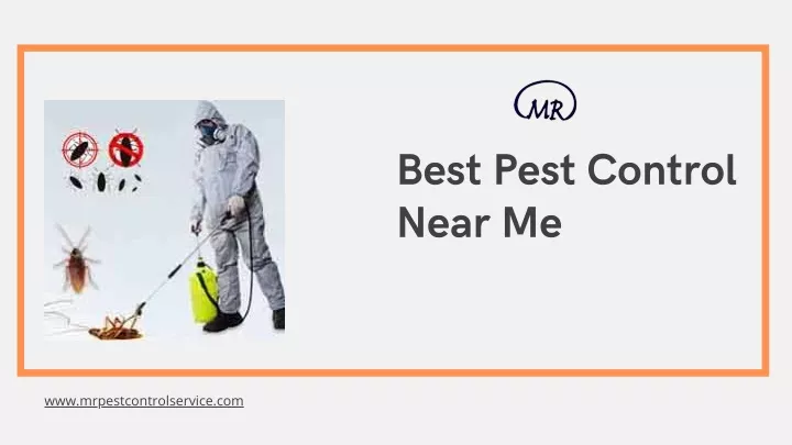 best pest control near me