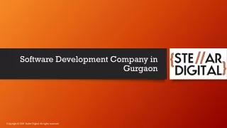 software development company in gurgaon
