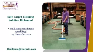 Safe carpet cleaning solution Richmond
