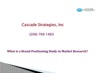 cascade strategies inc