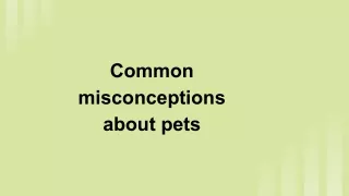Common misconceptions about pets (1)