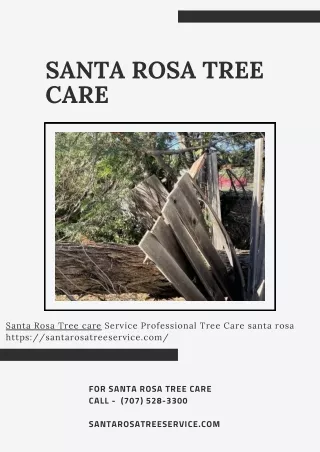 Santa Rosa Tree Care