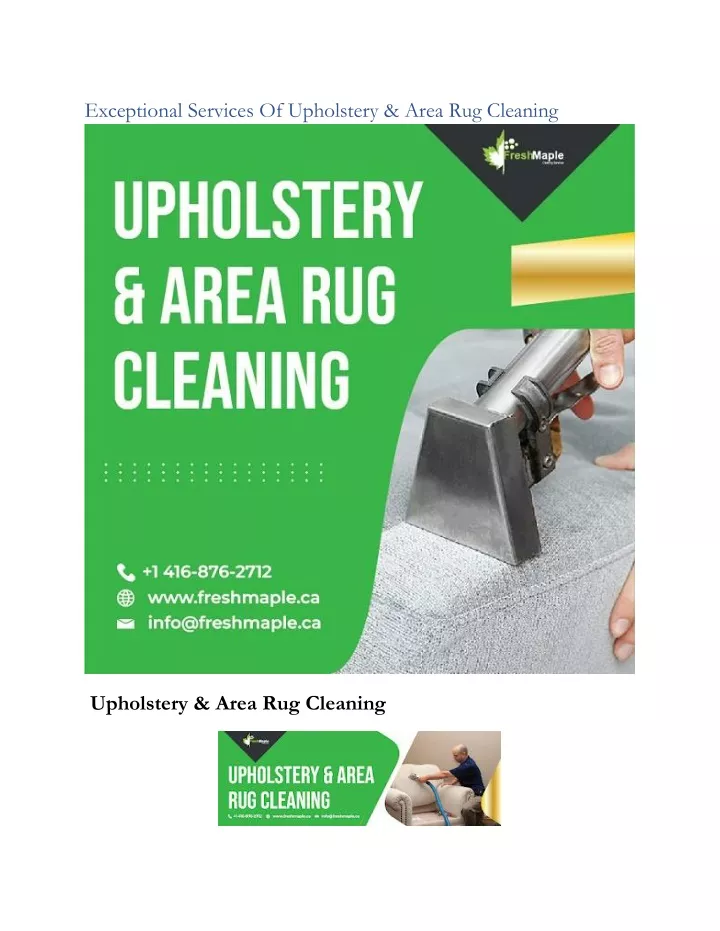 exceptional services of upholstery area