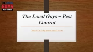 Termite Protection Adelaide | Thelocalguyspestcontrol.com.au