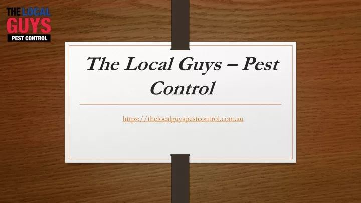 the local guys pest control