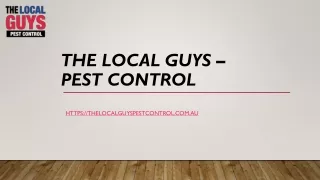 Pest Control Perth Fleas | Thelocalguyspestcontrol.com.au