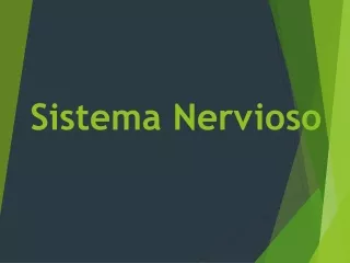 sistema nervioso