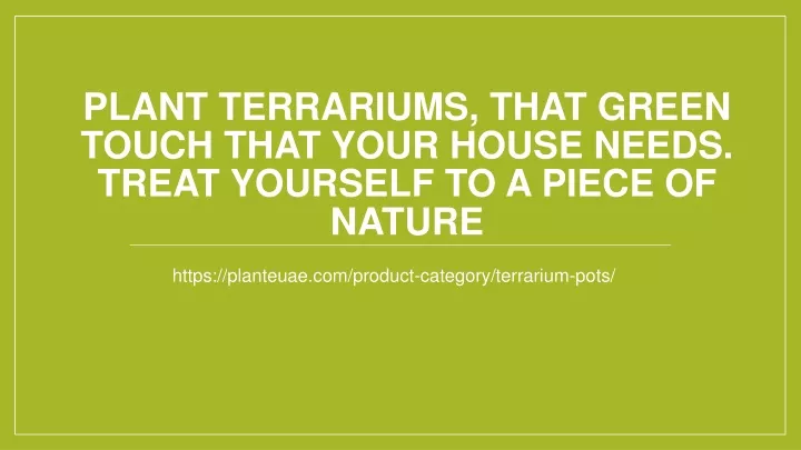 plant terrariums that green touch that your house