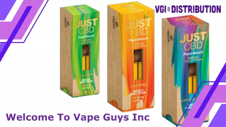 welcome to vape guys inc