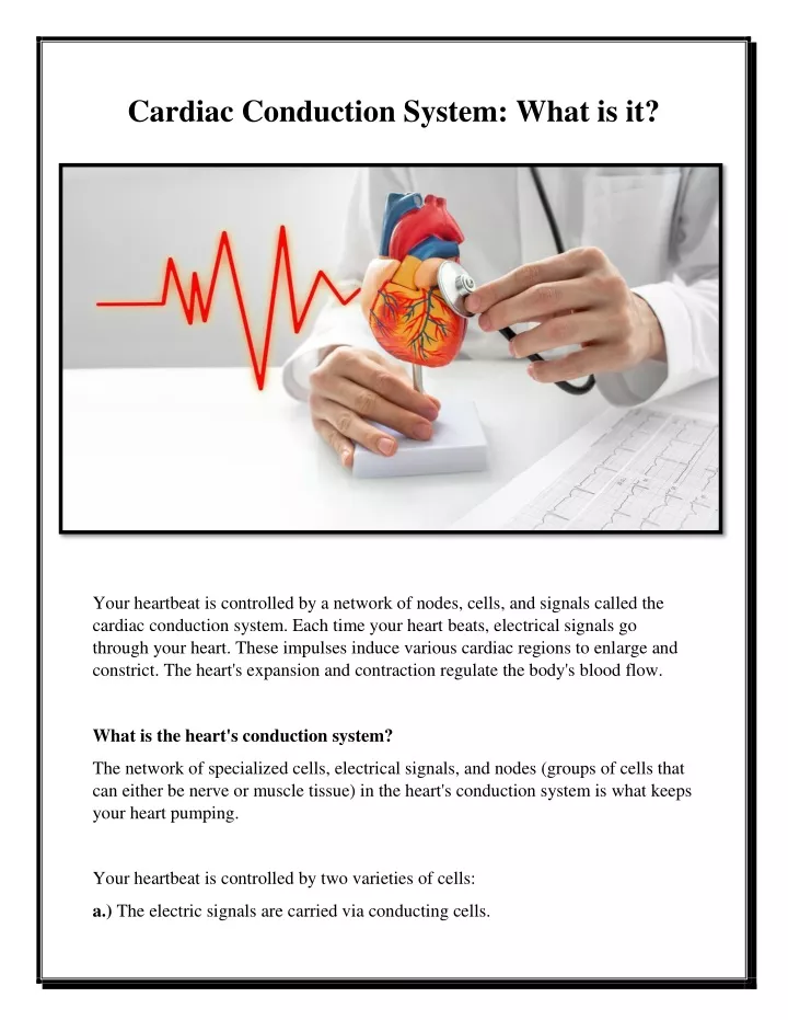 cardiac conduction system what is it