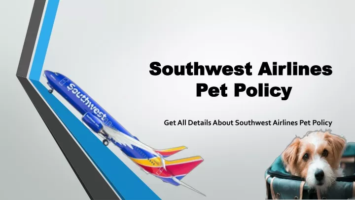 southwest airlines pet policy