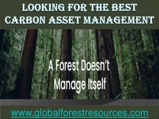 looking for the best carbon asset management