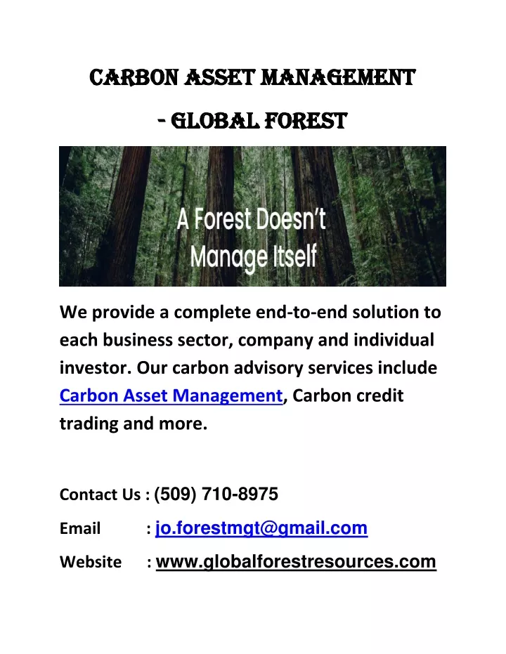 carbon asset management carbon asset management