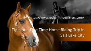 Tips for a First Time Horse Riding Trip in Salt Lake City