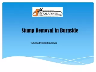 Stump Removal in Burnside - www.saladintreesolution.com.au