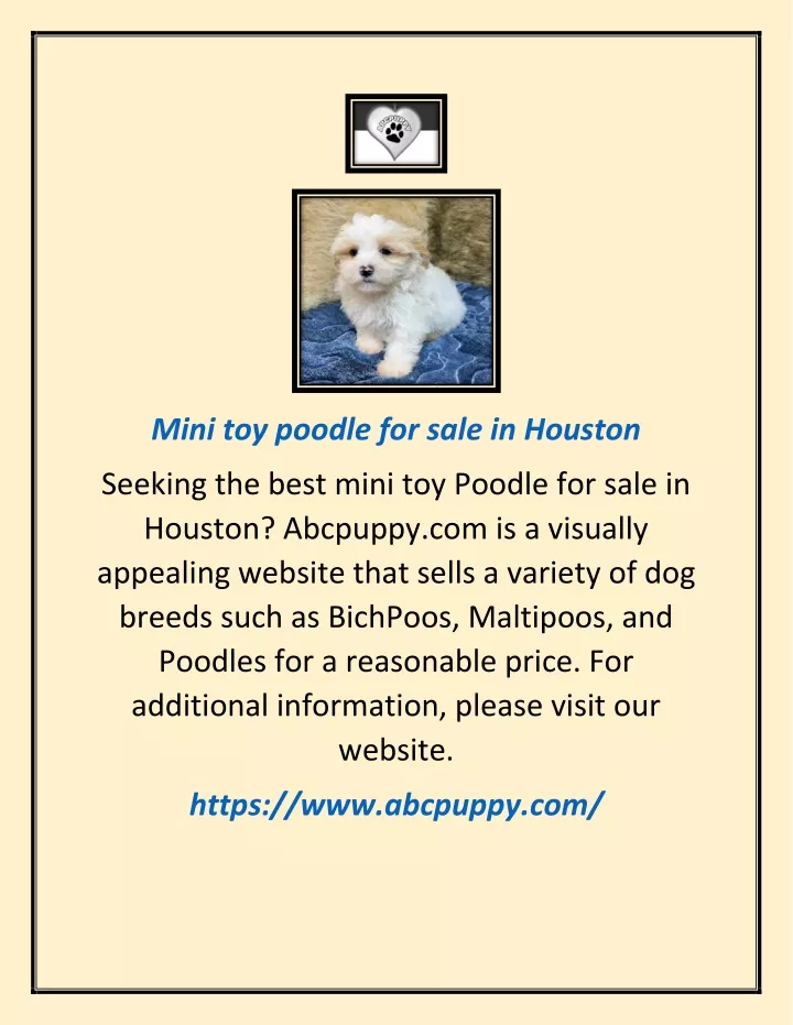 mini toy poodle for sale in houston