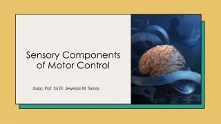  Sensory Components of Motor Control