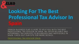 Looking For The Best Professional Tax Advisor In Spain