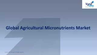 Agricultural Micronutrients Market Growing Status & Revenue by 2028