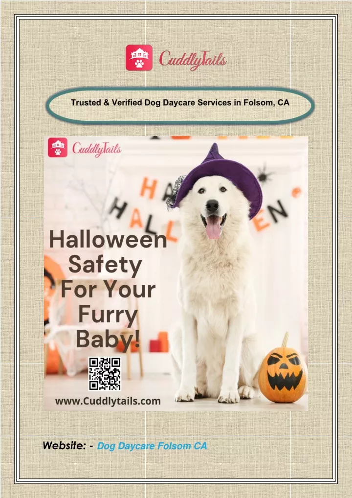 website dog daycare folsom ca