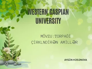 AYG TORPAQ