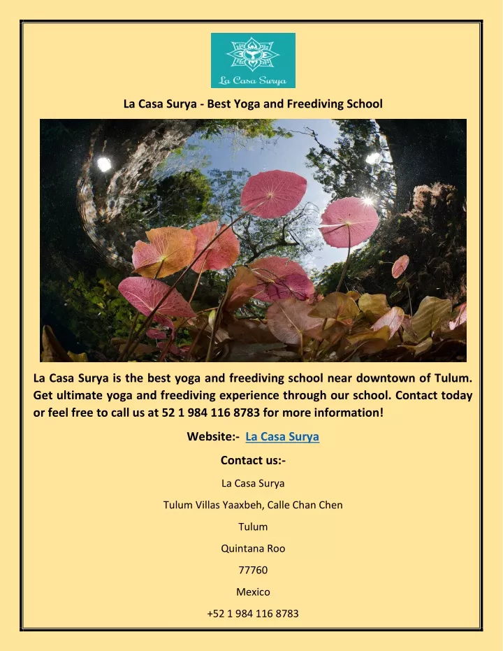 la casa surya best yoga and freediving school