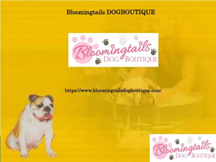 bloomingtails dogboutique