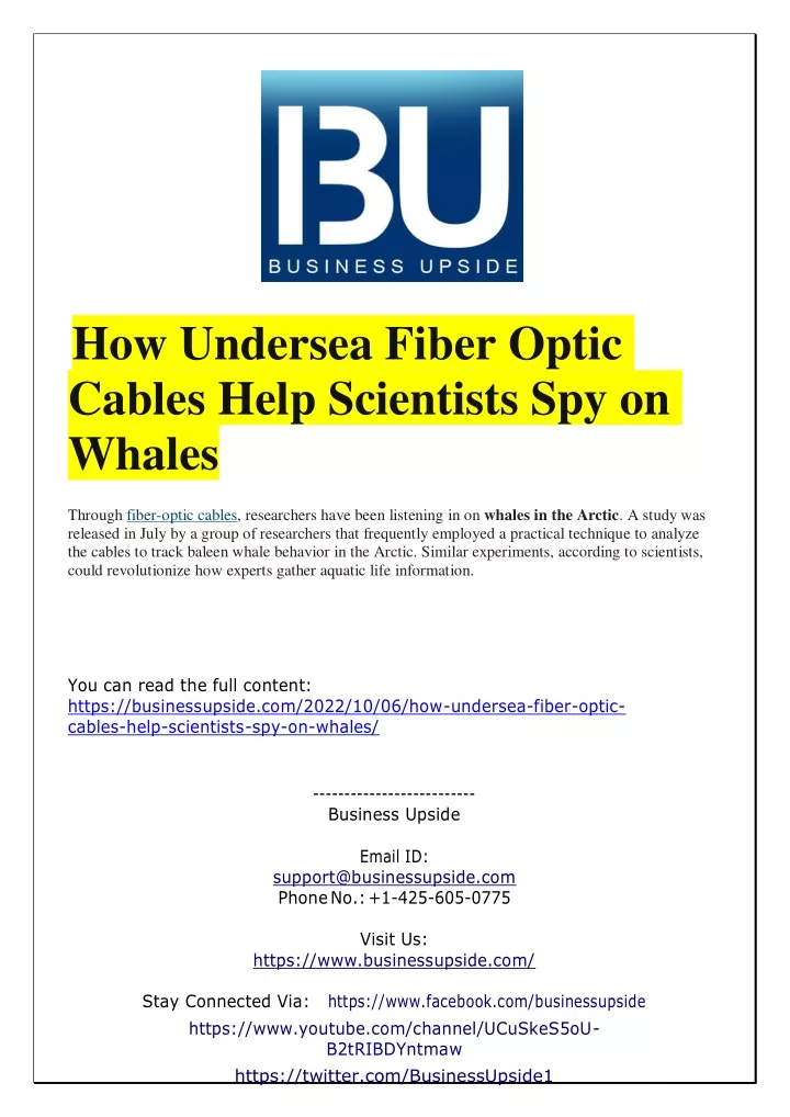 how undersea fiber optic cables help scientists