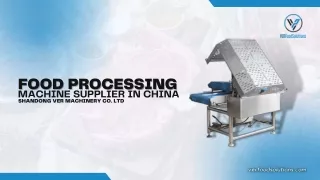 Food Processing Equipment Manufacturer in China - VER Food Solutions