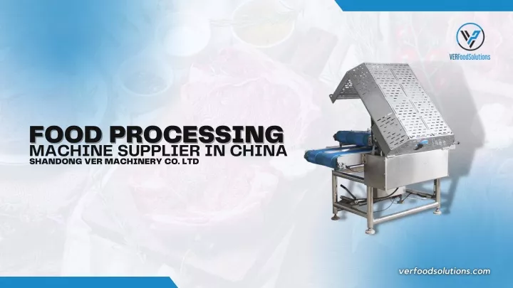 machine supplier in china food processing food