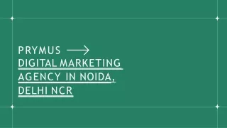 prymus digital marketing agency in noida delhi ncr