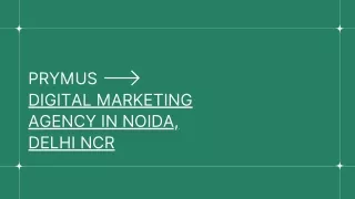 prymus digital marketing agency in noida delhi ncr