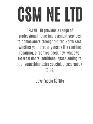 CSM NE LTD