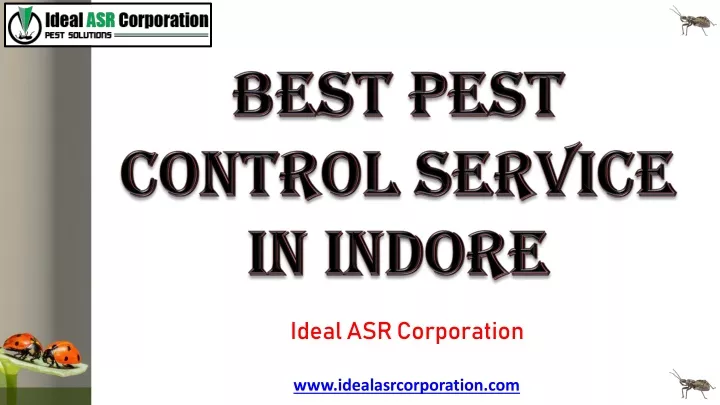 best pest control service in indore