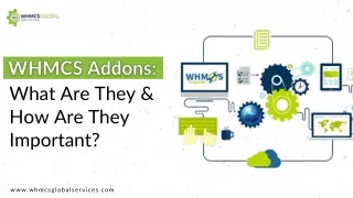 WHMCS Addons What Are They & How Are They Important