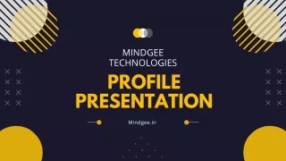 MindGee Digital Marketing and web Development company