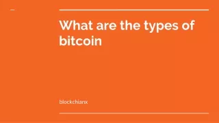 What are the types of bitcoin10