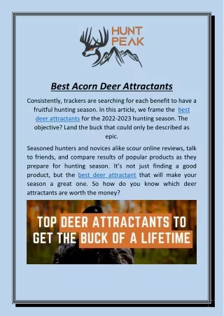 best acorn deer attractants