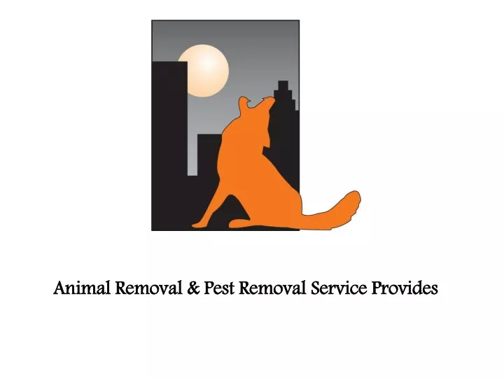 animal removal pest removal service provides