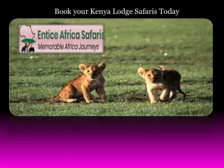 Book your Kenya Lodge Safaris Today