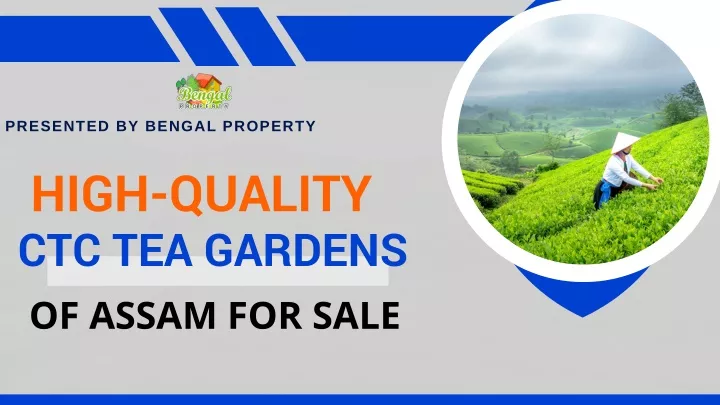 presented by bengal property