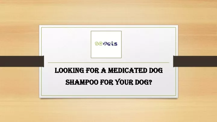 looking for a medicated dog shampoo for your dog